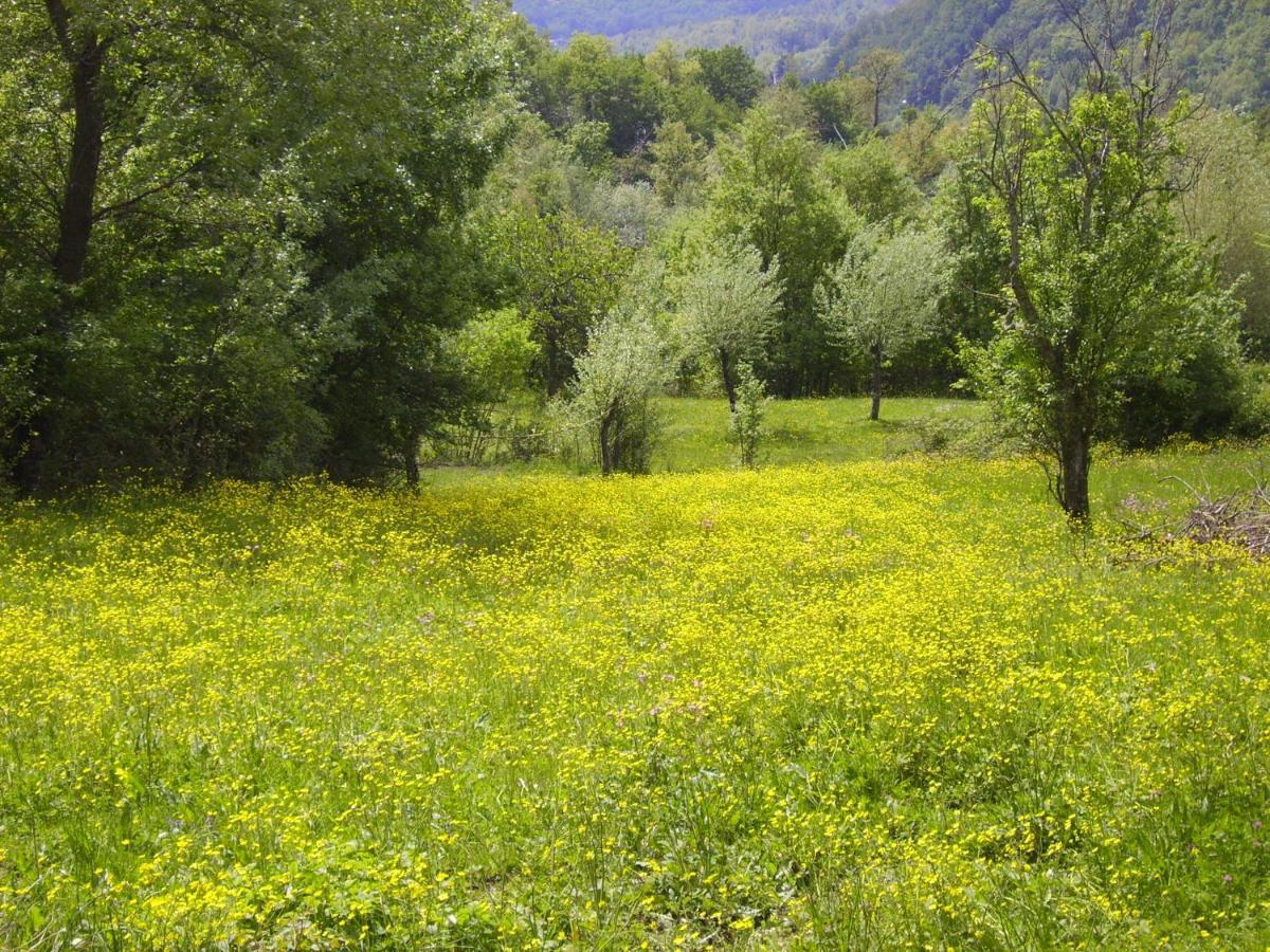 B&B Podere Bramapane Montelungo Superiore Esterno foto